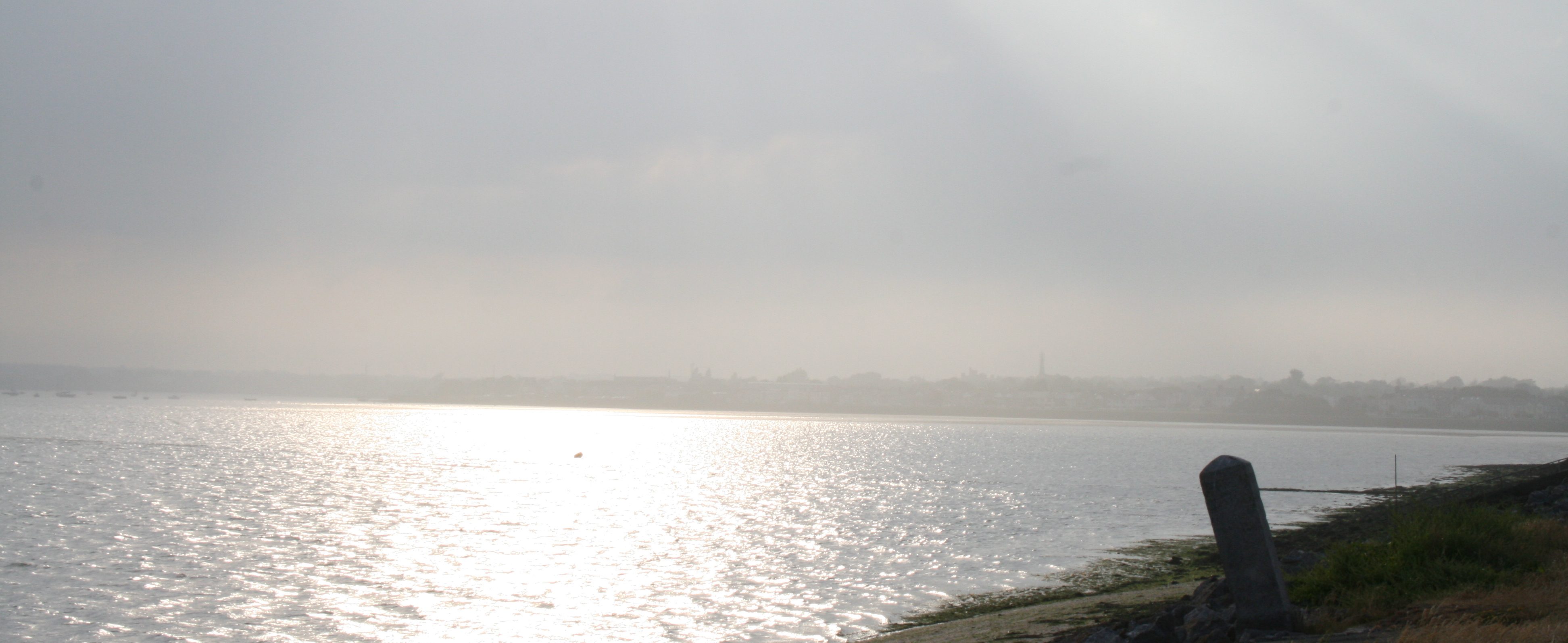 cropped-img_76281.jpg